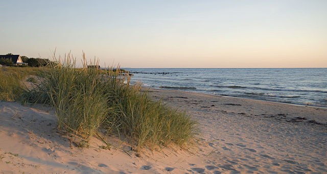 Foto: Berit. Hämtad från Wikimedia Commons.